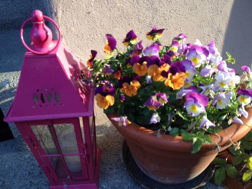 La Vie En Rose * Basel